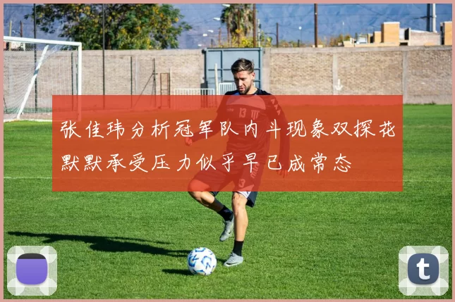 张佳玮分析冠军队内斗现象双探花默默承受压力似乎早已成常态