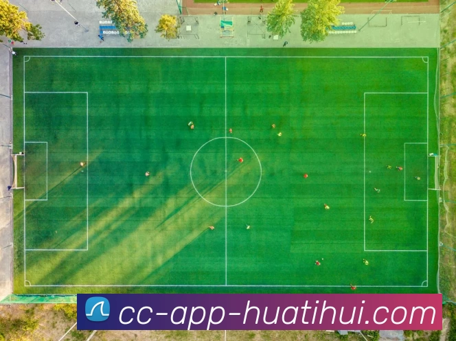 App 示例图